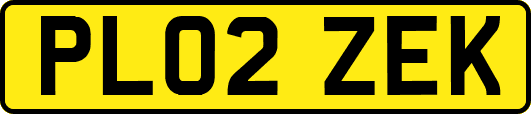 PL02ZEK