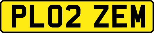 PL02ZEM