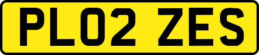 PL02ZES
