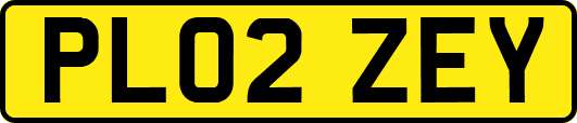 PL02ZEY