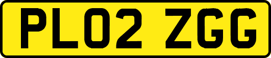 PL02ZGG
