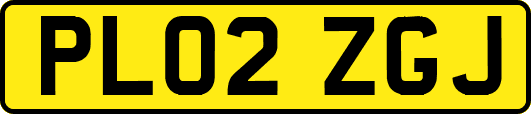 PL02ZGJ