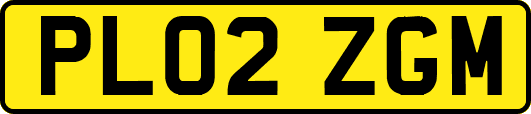 PL02ZGM