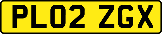 PL02ZGX