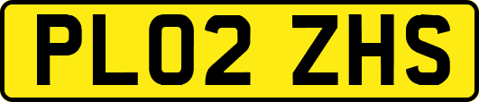 PL02ZHS