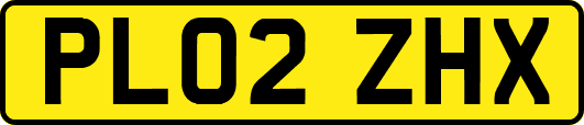 PL02ZHX