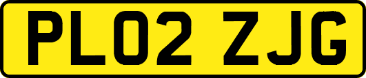 PL02ZJG