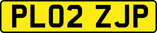 PL02ZJP