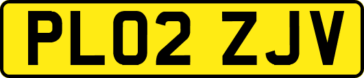PL02ZJV