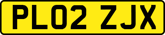 PL02ZJX