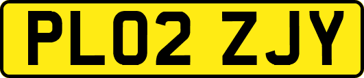 PL02ZJY