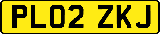 PL02ZKJ