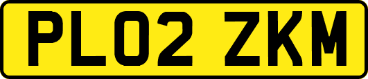 PL02ZKM