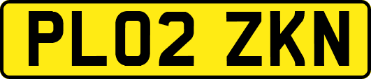 PL02ZKN