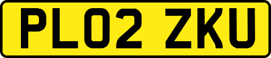 PL02ZKU