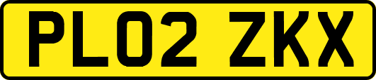 PL02ZKX