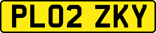 PL02ZKY