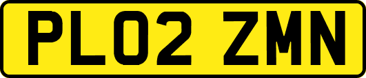 PL02ZMN