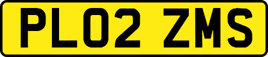 PL02ZMS
