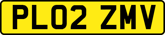 PL02ZMV