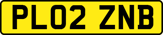 PL02ZNB