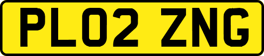 PL02ZNG