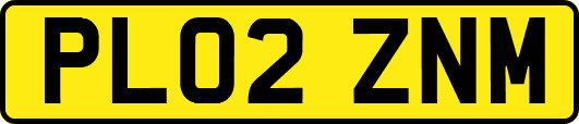PL02ZNM