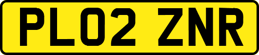PL02ZNR