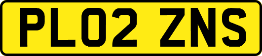 PL02ZNS
