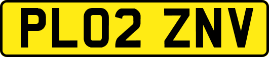 PL02ZNV