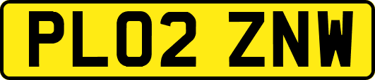 PL02ZNW