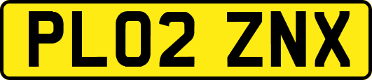 PL02ZNX