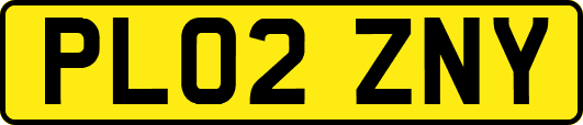 PL02ZNY