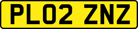 PL02ZNZ