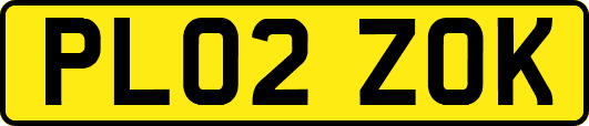 PL02ZOK
