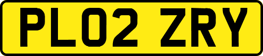 PL02ZRY