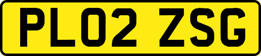 PL02ZSG