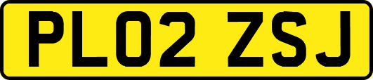 PL02ZSJ