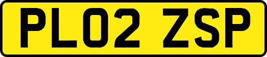 PL02ZSP