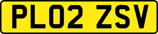 PL02ZSV