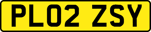 PL02ZSY