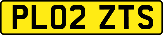 PL02ZTS