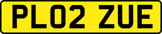 PL02ZUE