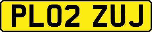 PL02ZUJ