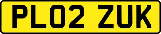 PL02ZUK