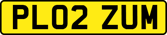 PL02ZUM