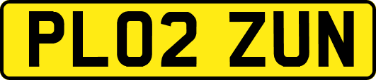 PL02ZUN