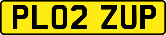 PL02ZUP
