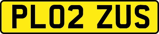 PL02ZUS