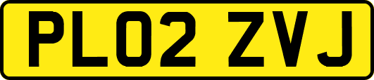 PL02ZVJ